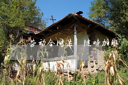 劳动合同法 随时加班 劳动合同法 随时加班